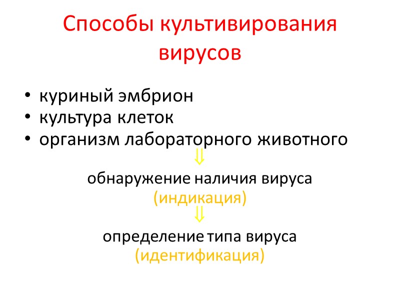Способы культивирования вирусов куриный эмбрион культура клеток организм лабораторного животного  обнаружение наличия вируса